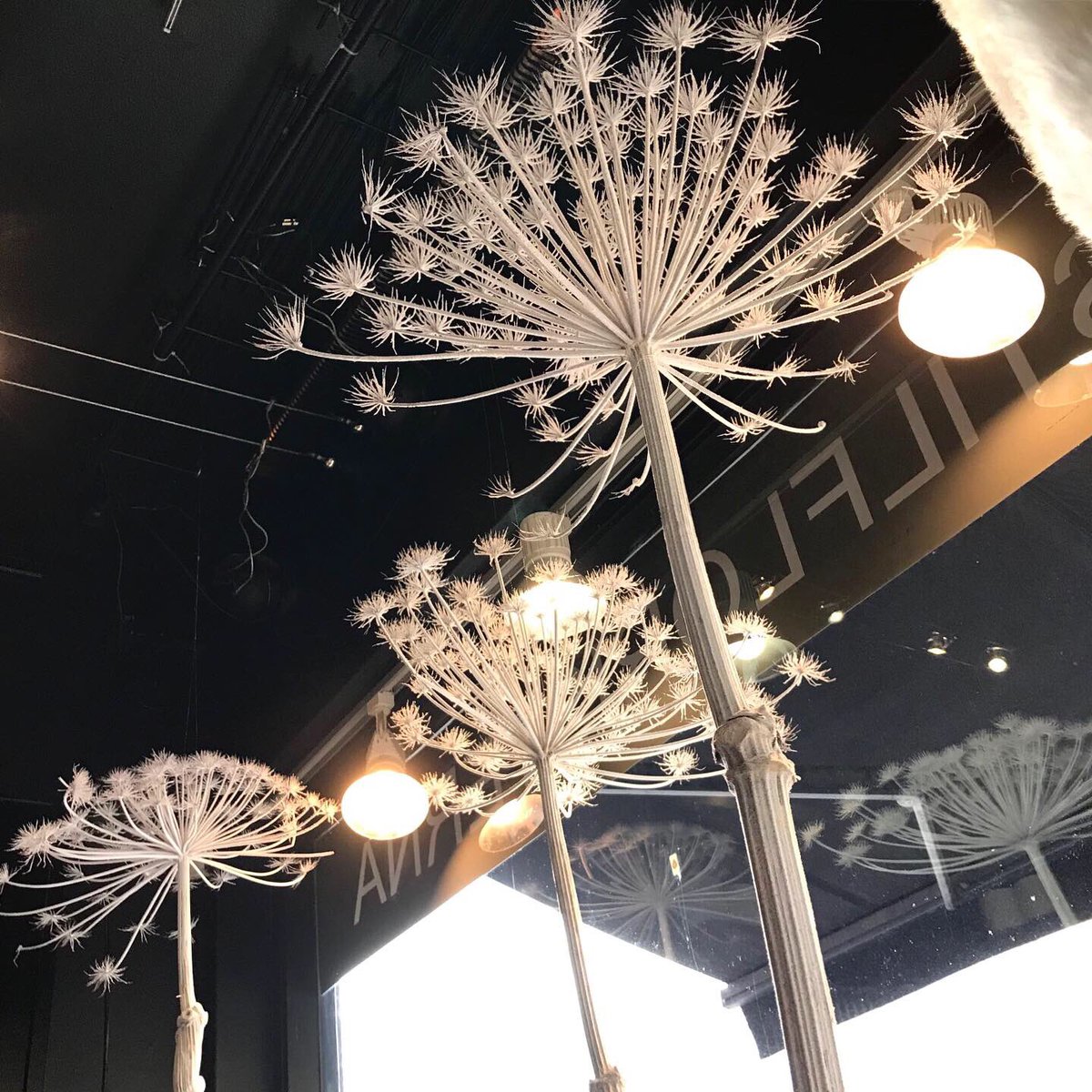 Det blir adventsfint i första julskyltningen för året, där den vackra Björnlokan kommer till sin rätt i butiken :-) #julilinköping <a href="/stilfloristerna/">Stilfloristerna</a> #stilfloristerna #julskyltning