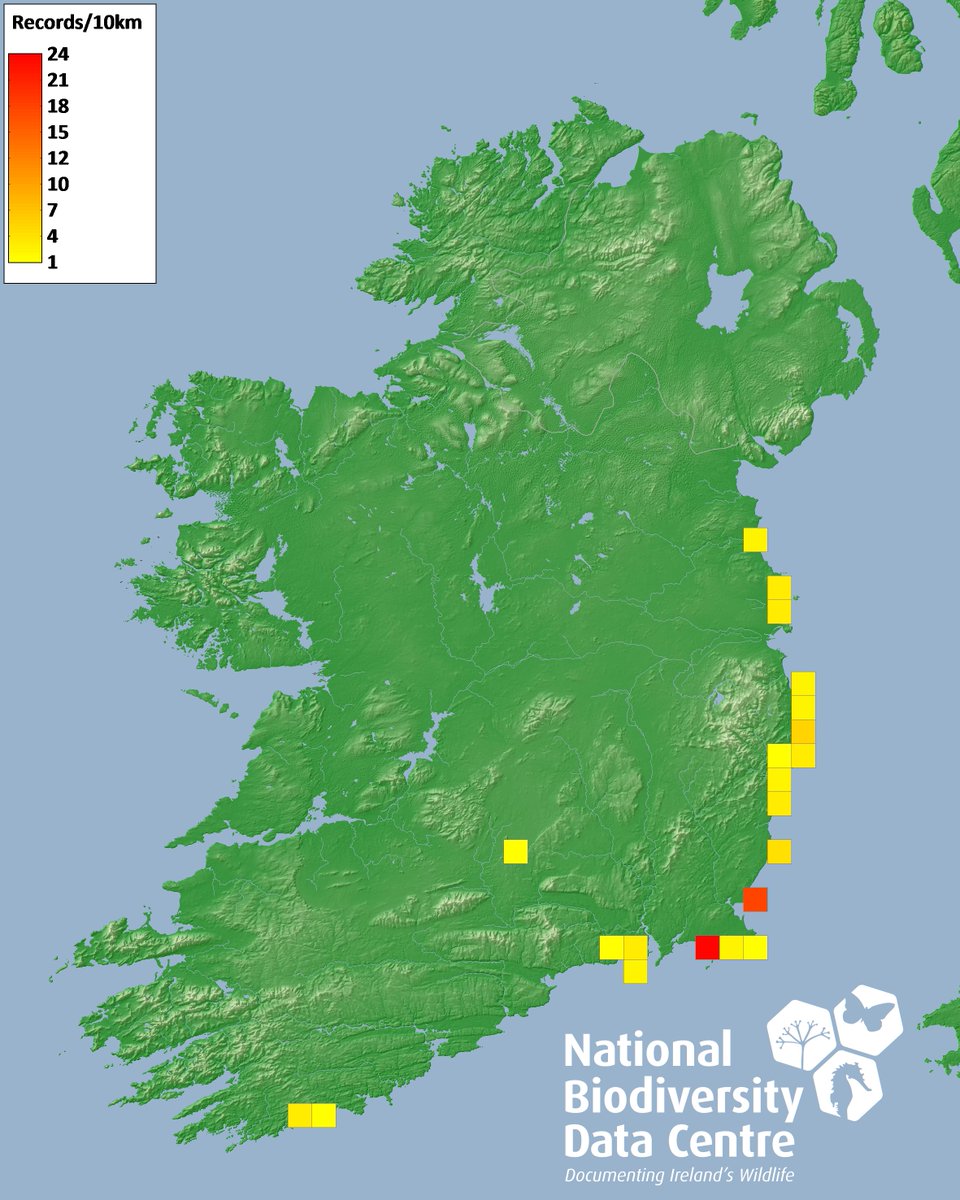 Mark Clare (@markc52315173) on Twitter photo 