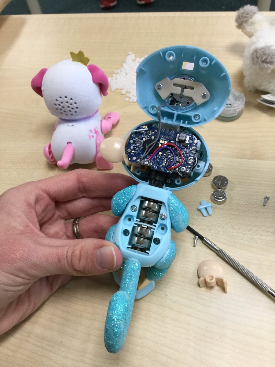 MonktonYear2's tweet photo. We had a fascinating time dissecting toys today... we were so amazed to see what was inside. #MonktonThinksDifferently https://t.co/cOrKEKEZZu