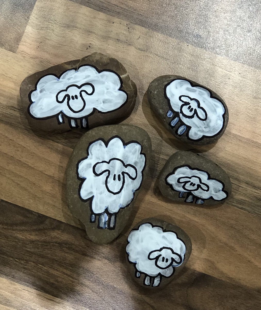 Howiechick's tweet image. Pebble sheep for the ⁦@stcatsglos⁩ #findingjesus Advent adventure. There are one or two that look a bit mutant!