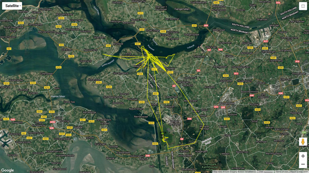 adriclements's tweet photo. Inmiddels is meer bekend van de gezenderde kleine zwaan in West-Brabant! Afgelopen winter is dit adulte vrouwtje gezenderd bij Arendonk (BE). En afgelopen broedseizoen heeft ze gebroed op het eiland Vaygach in Rusland. @RBINSmuseum  #BeBirds #DidierVangeluwe #svdh #volkerak https://t.co/3oRiqSB56v