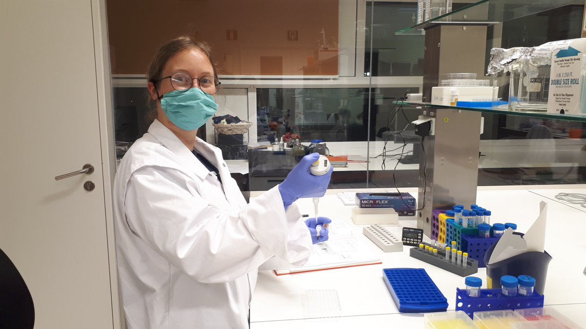 Weckhuysen_team's tweet photo. Meet @NoorSmal , our PhD student looking at the hidden (epi)genetics of epilepsy using both transcriptomics and long-read sequencing. https://t.co/muwlTxSCjg