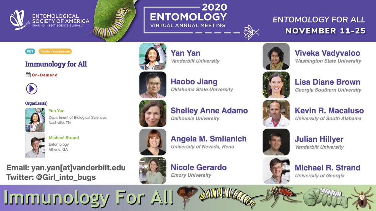 Interested in insect/tick immunity? I organized a symposium with Dr. Michael Strand about the immune responses of diverse arthropods! Including #moths, #butterflies, #fleas, #mosquitoes, #ticks! 
Search “Immunology for all” in #EntSoc20 or use this link cdmcd.co/Bvpr3b.