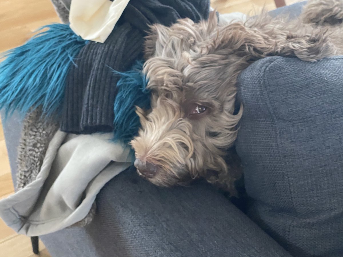 Amy Louise Hobby tweet media