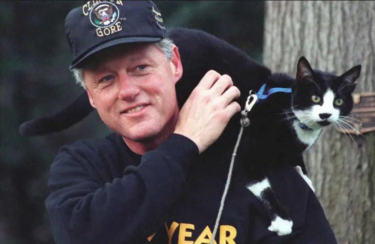 Bill Clinton’s cat Socks was pretty popular! The handsome 'tuxedo' cat had well-publicized feuds with Buddy, the family’s Labrador retriever, whom he reportedly despised from the day he first met him. 