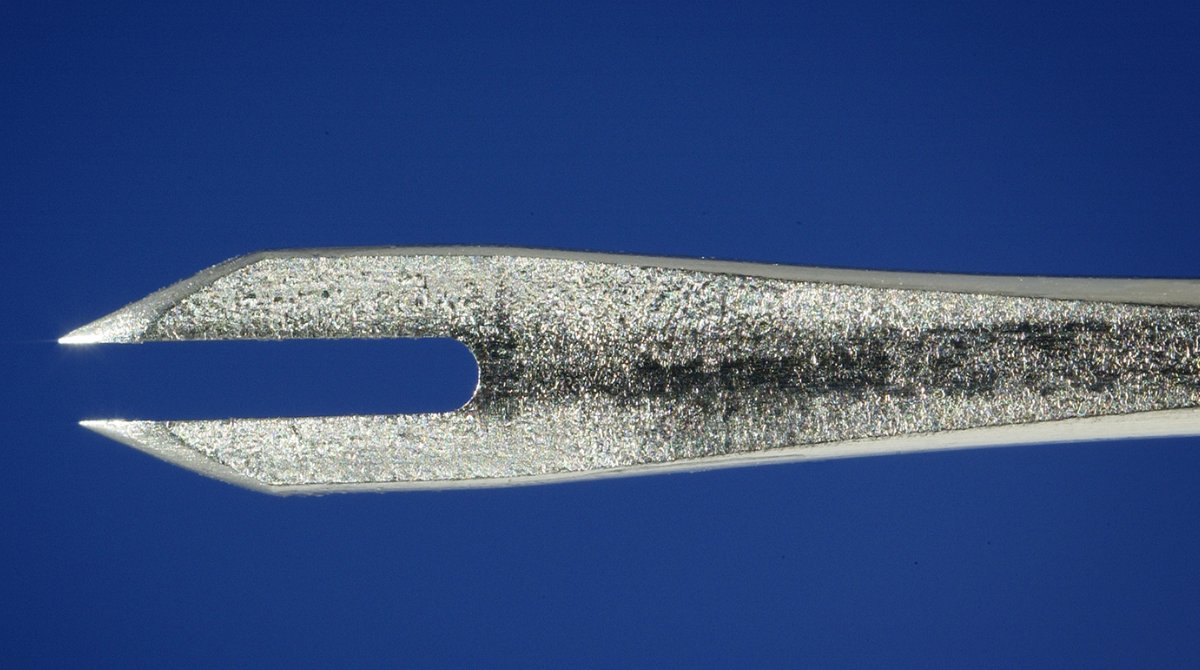Bifurcated Needle