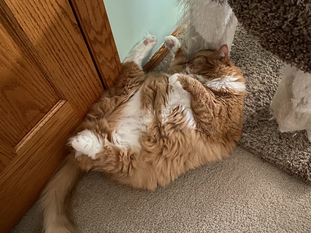 🐛🌷Dean🦋🪴 tweet media