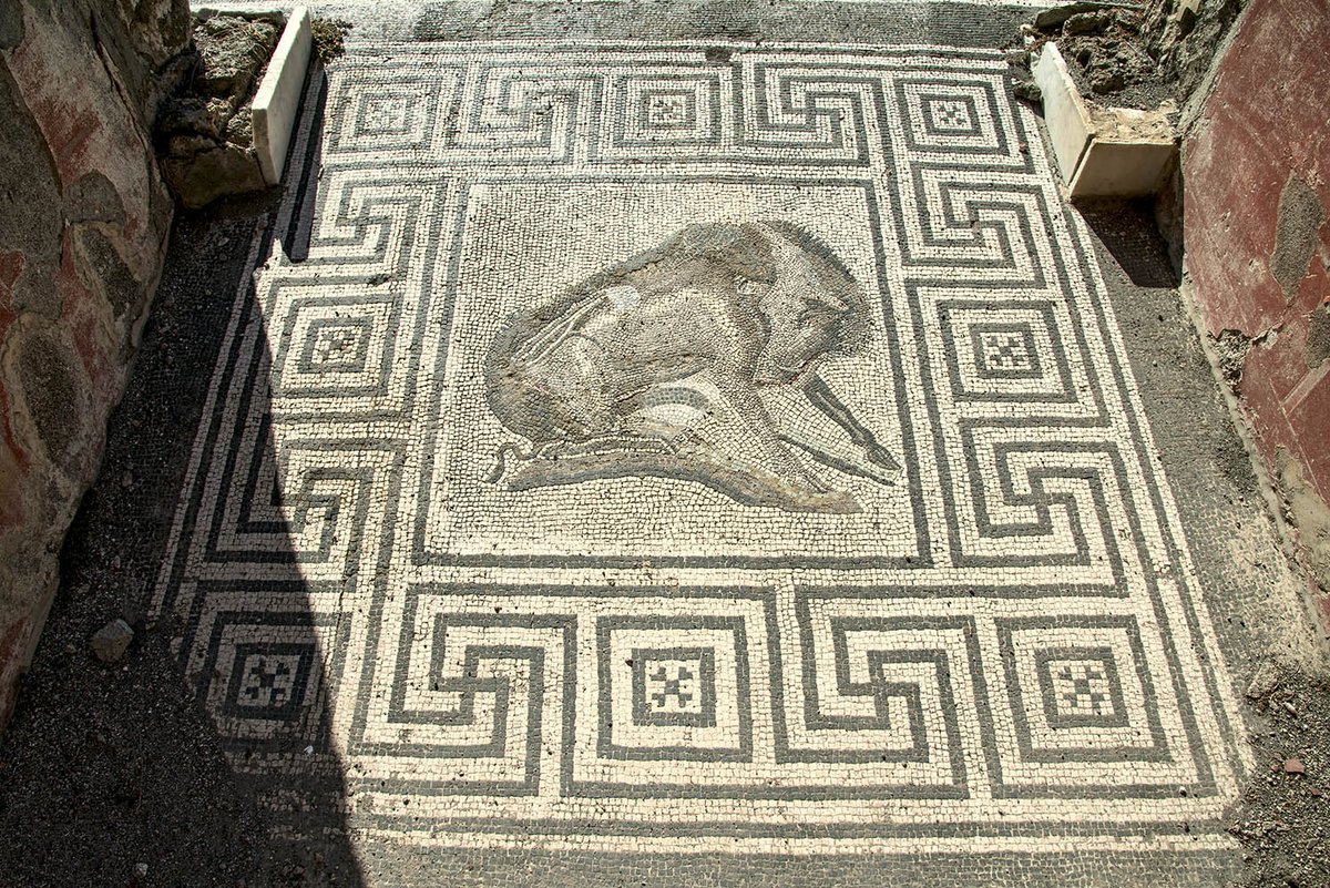 Archaeology & Art tweet media