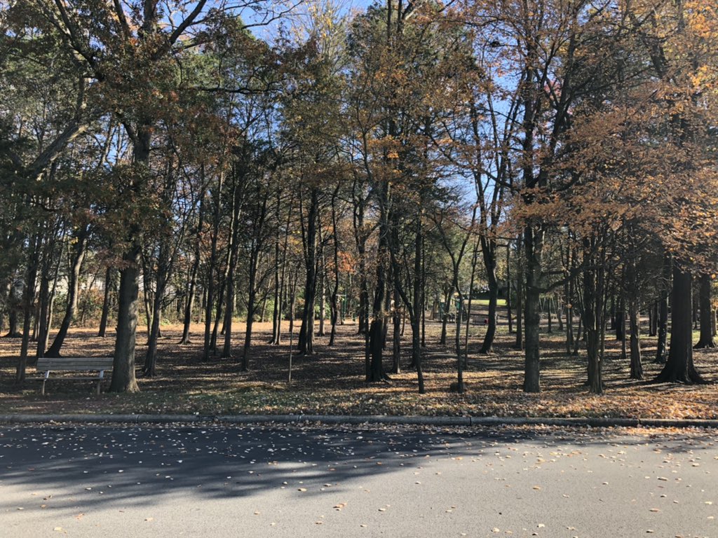 MalamScience's tweet photo. Spotswood &amp; Bentwood have a cool park hidden in the trees! #labdelivery #panthertown https://t.co/1PuqknNnQw