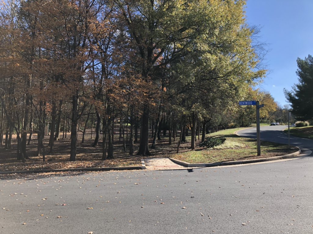 MalamScience's tweet photo. Spotswood &amp; Bentwood have a cool park hidden in the trees! #labdelivery #panthertown https://t.co/1PuqknNnQw