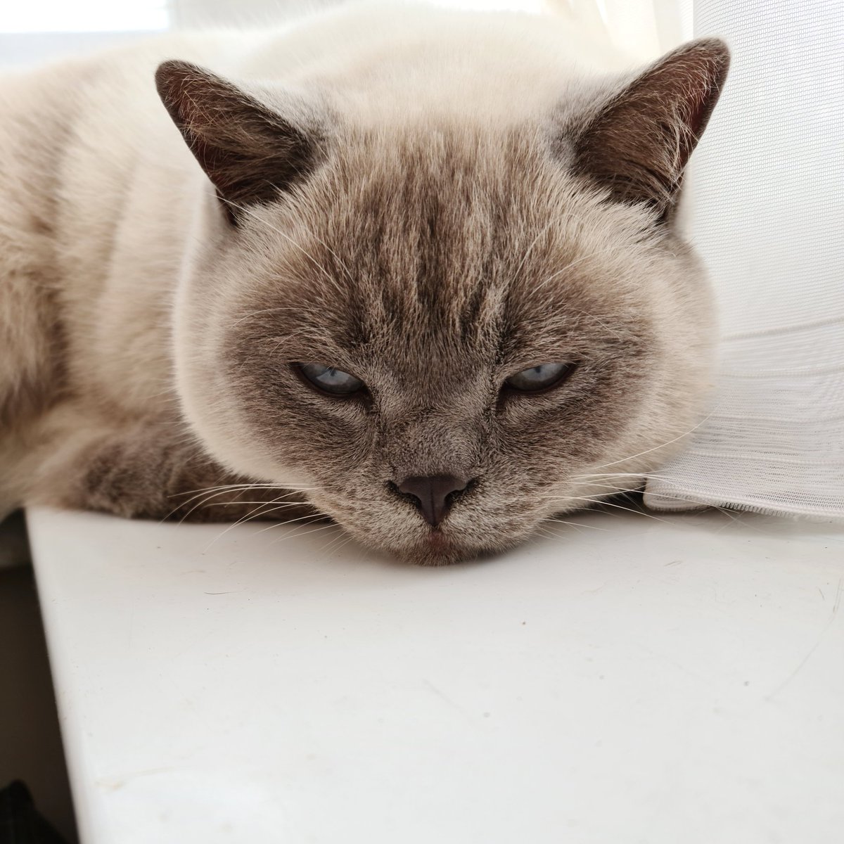 Not today #monday 😾💙