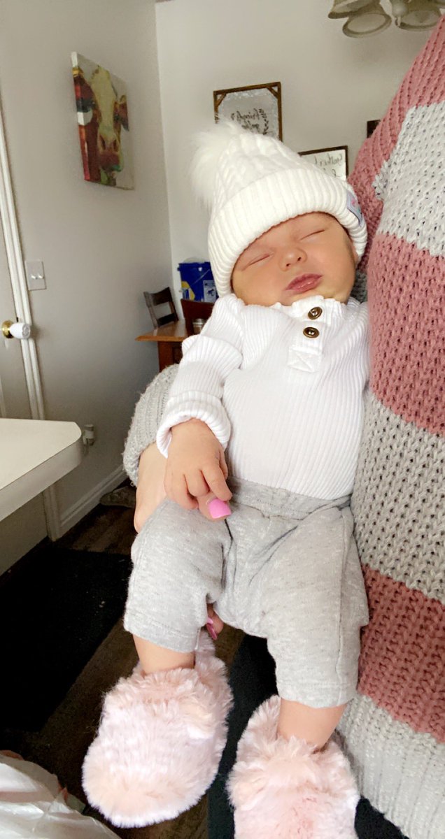 shan1han's tweet photo. Just here to show of my kids again😍 https://t.co/pT6kpS7Hxc