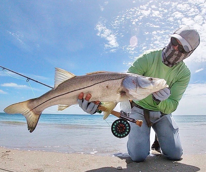 onossunglasses's tweet photo. Repost from @paulfishes in his Sonos
•
_flat water_ and 🍔big snook🍔
•
•
•
#flyfishing #beachfishing #snook #surffishing #sightfishing #flyfish #snookfishing #simmsfishing #columbiapfg #3tandreels #waterworkslamson #cortlandline #onos #bigfish #catchandrelease #buffusa https://t.co/sdPd3cnNHt
