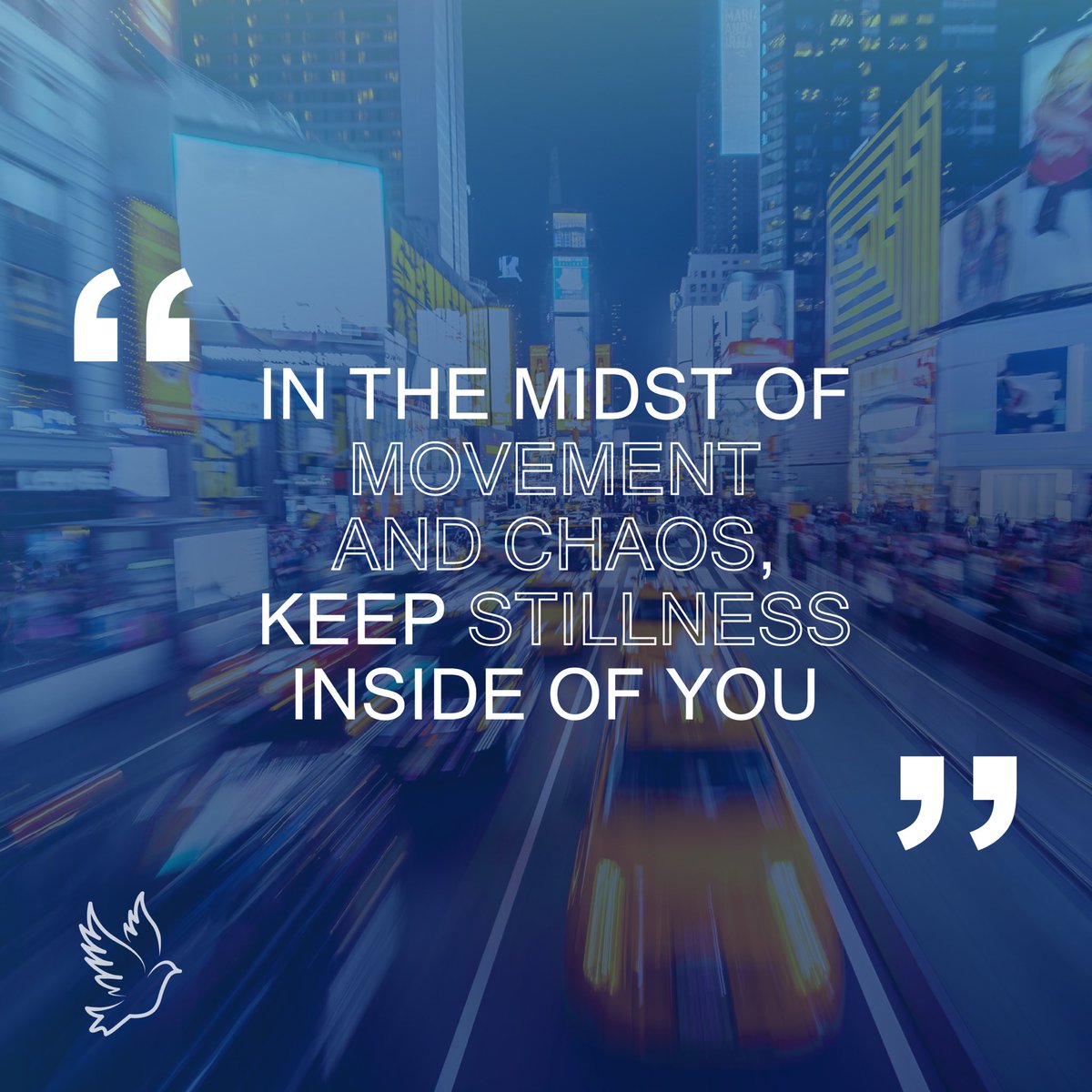 Promise of Hope Foundation tweet media