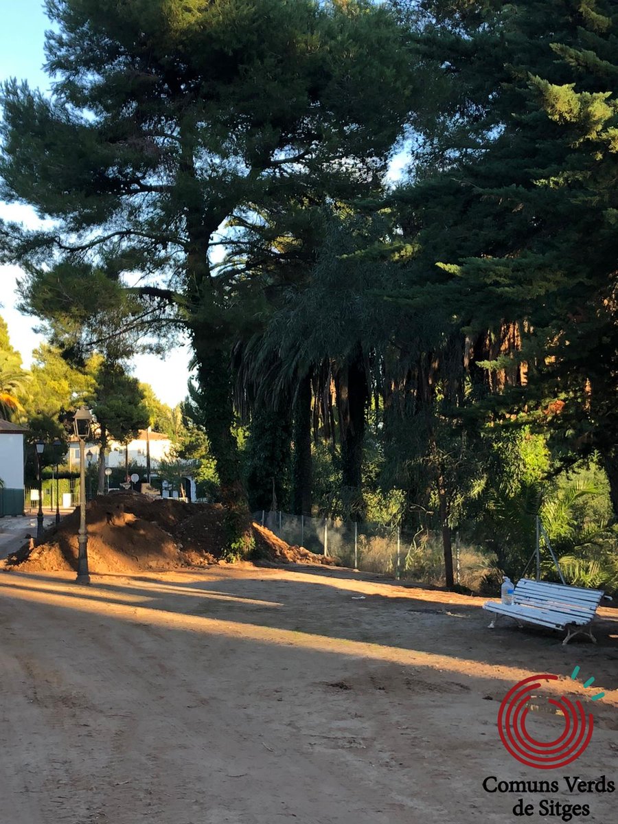 VerdsECSitges's tweet photo. I EL MANTRA
I una serra, i una excavadora, i un dels pins més antics dels jardins desaparegut. Vam preguntar al darrer Ple, la destrucció d'arbrat a Sitges és constant, sempre hi ha una excusa, mai cap explicació raonable, mai cap alternativa. Fins quan?
#sitges #femsitgesverd https://t.co/DO8CTuFEj5