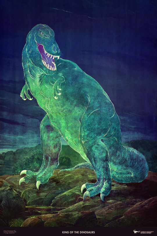 Let's cross the ocean for the next mural, the T. rex from the Carnegie Museum of Natural History. No longer on display, this (utterly bizarre) interpretation once graced the wall behind rex's mounted skeleton. It was painted by Ottmar von Fuehrer in 1950.