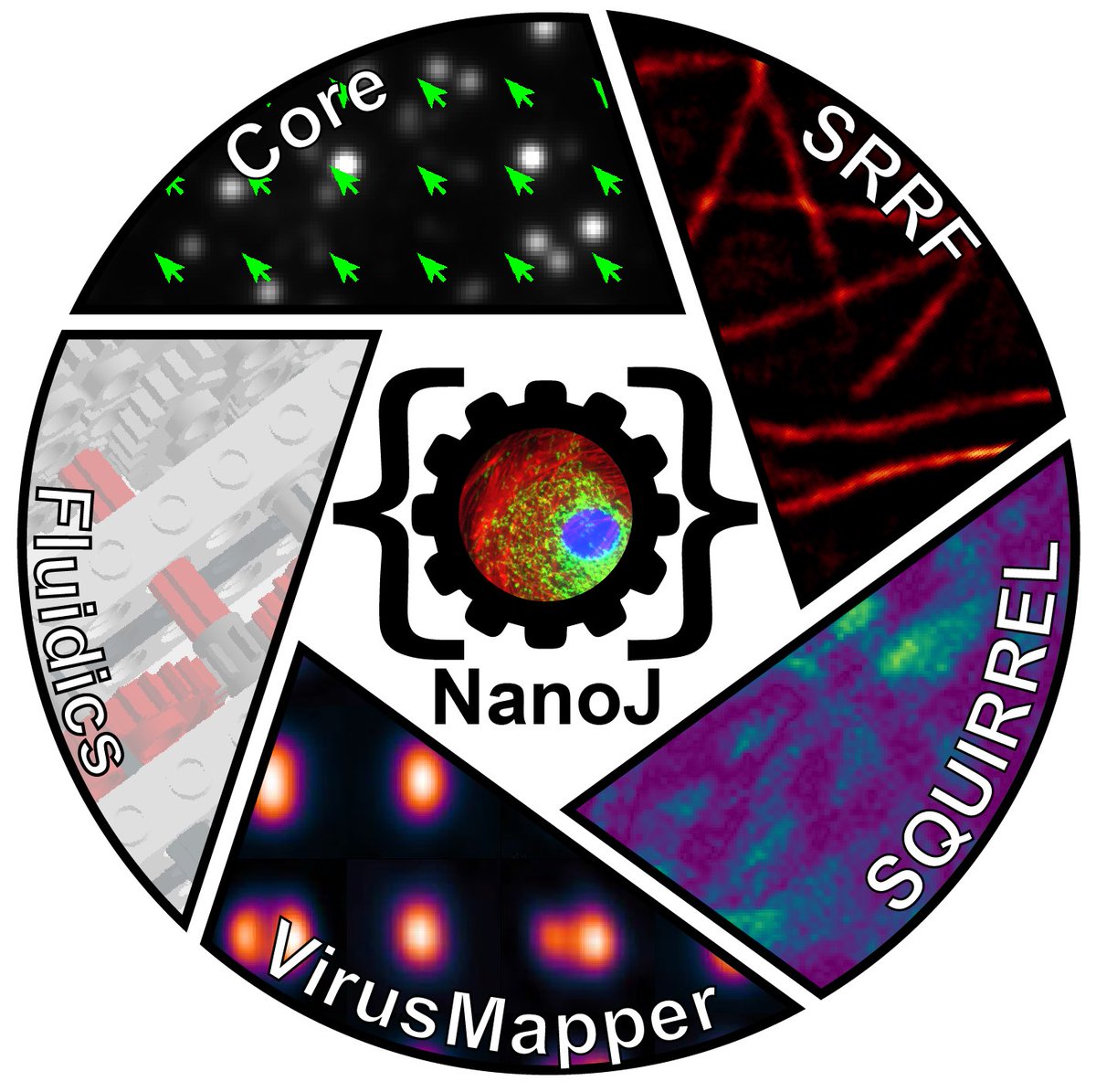 Here comes the next #I2K2020 tutorial highlight

In the #NanoJ hands-on tutorial with @LaineBioImaging @ChamierLucas @guijacquemet & @HenriquesLab you'll learn tools to analyse #SuperResolution data while harnessing the power of your GPU

@janeliaconf @PavelTomancak @herrsaalfeld