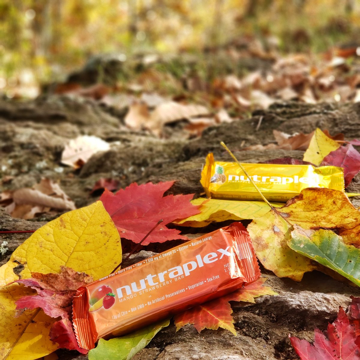 Nutraplex's tweet photo. Prefect companion for any hike. 

❤ Long-lasting energy
🧡 Meal replacement 
💛 Clean ingredients (fruits, seeds &amp; nuts)

Get outside and find your adventure!
#energy #mealreplacement #onthego #nutraplex #nutrition #hiking #adventure #nongmo #glutenfree #soyfree #dairyfree https://t.co/E4ibY0kFMz