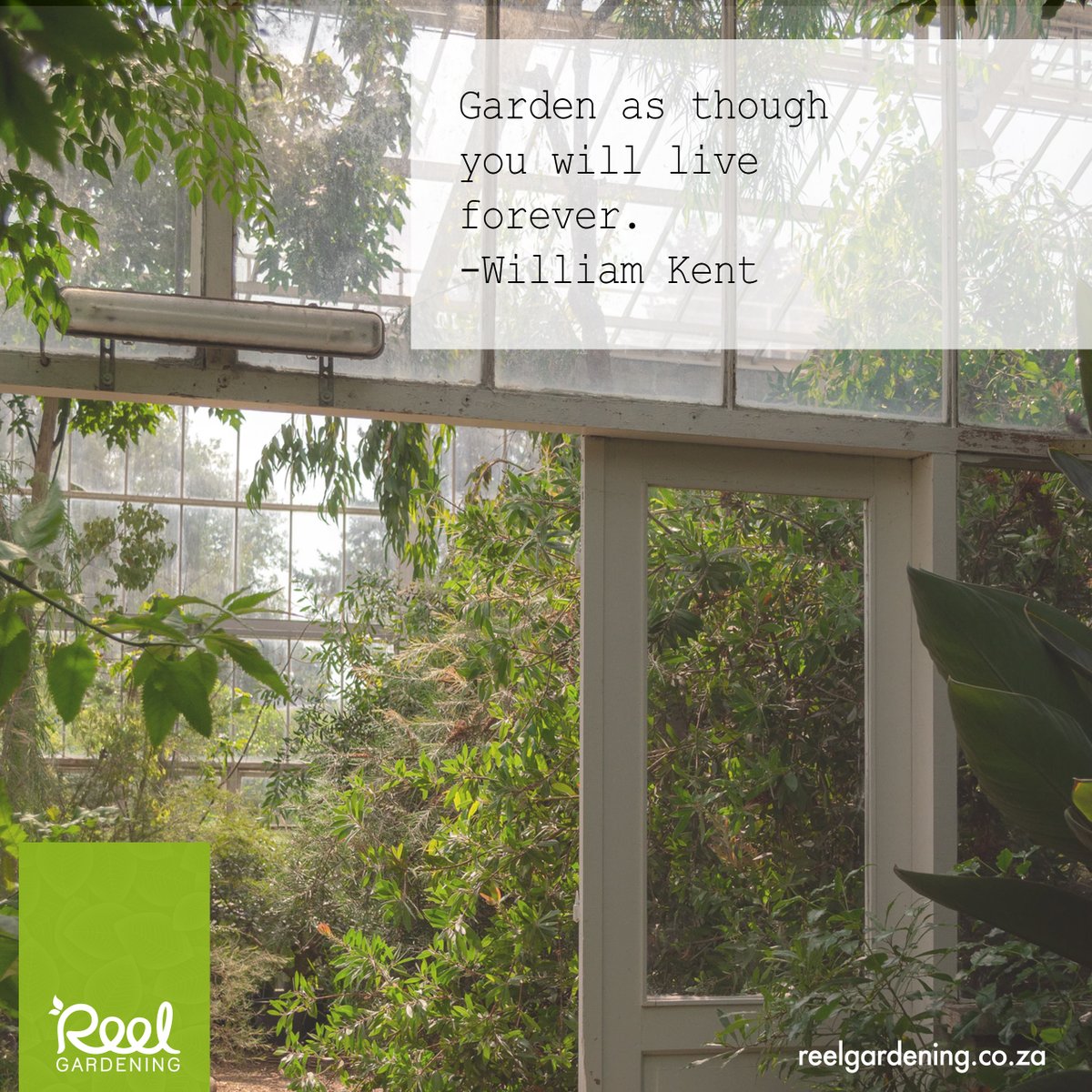 ReelNPO's tweet photo. Let's start off our week with a fix motivation and inspiration. Share to inspire others.
#MondayMotivation #Inspire #Inspirational #motivationm #quotes #Sayings #Plants #Garden #Gardening #ReelGardening #GrowYourOwn #liveforever https://t.co/eV31yWcI30