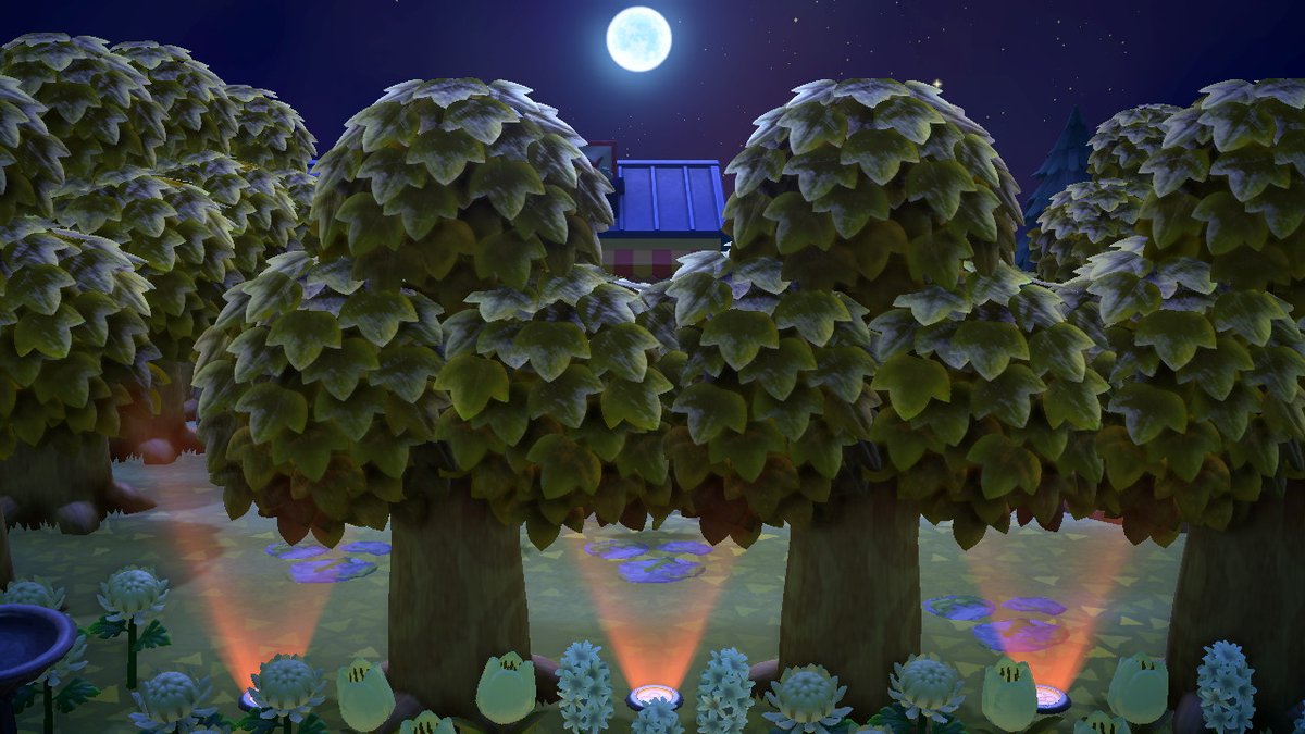 crosserjen's tweet photo. #AnimalCrossing #ACNH #NintendoSwitch https://t.co/hAIvC8oYwp