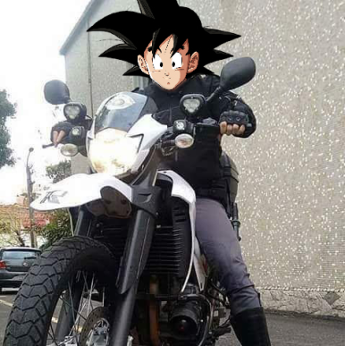 Goku__pm's tweet photo. @VEGETA_PATRIOTA @uphiago É ISSO AI NÓS SAYAJINS CONSERVADORES VAMOS RESTAURAR A GLÓRIA DO BRASIL E DOS EUA VAMOS AJUDAR DONALD TRUMP @realDonaldTrump A DESMASCARAM O GOLPE DO COMUNISTA JOE BIDEN E LIMPAR O BRASIL E EUA DA ESQUERDA
#CLOSEDWITHTRUMP
#RIACHUELOCOMOMITO  
#NATURACOMBOLSONARO 
#GLOBOSTA https://t.co/82oUwGKcVF