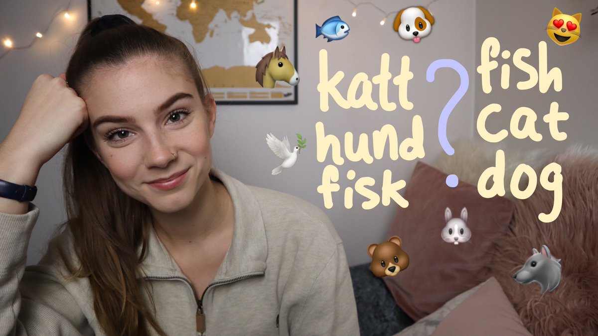 SannaHaydon's tweet photo. New video: “Animals in Swedish” https://t.co/LiWIkxZ8ro 😻🇸🇪 https://t.co/zykWIKzyx8