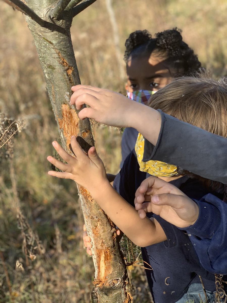 WMAES's tweet photo. What a beautiful day for learning outdoors! Environmental Science K and young 5 friends @WMAES read “A Nest is Noisy” and headed out for a hike to discover what’s around us. They found nests and much more#envirokid https://t.co/lR4AHPiyva
