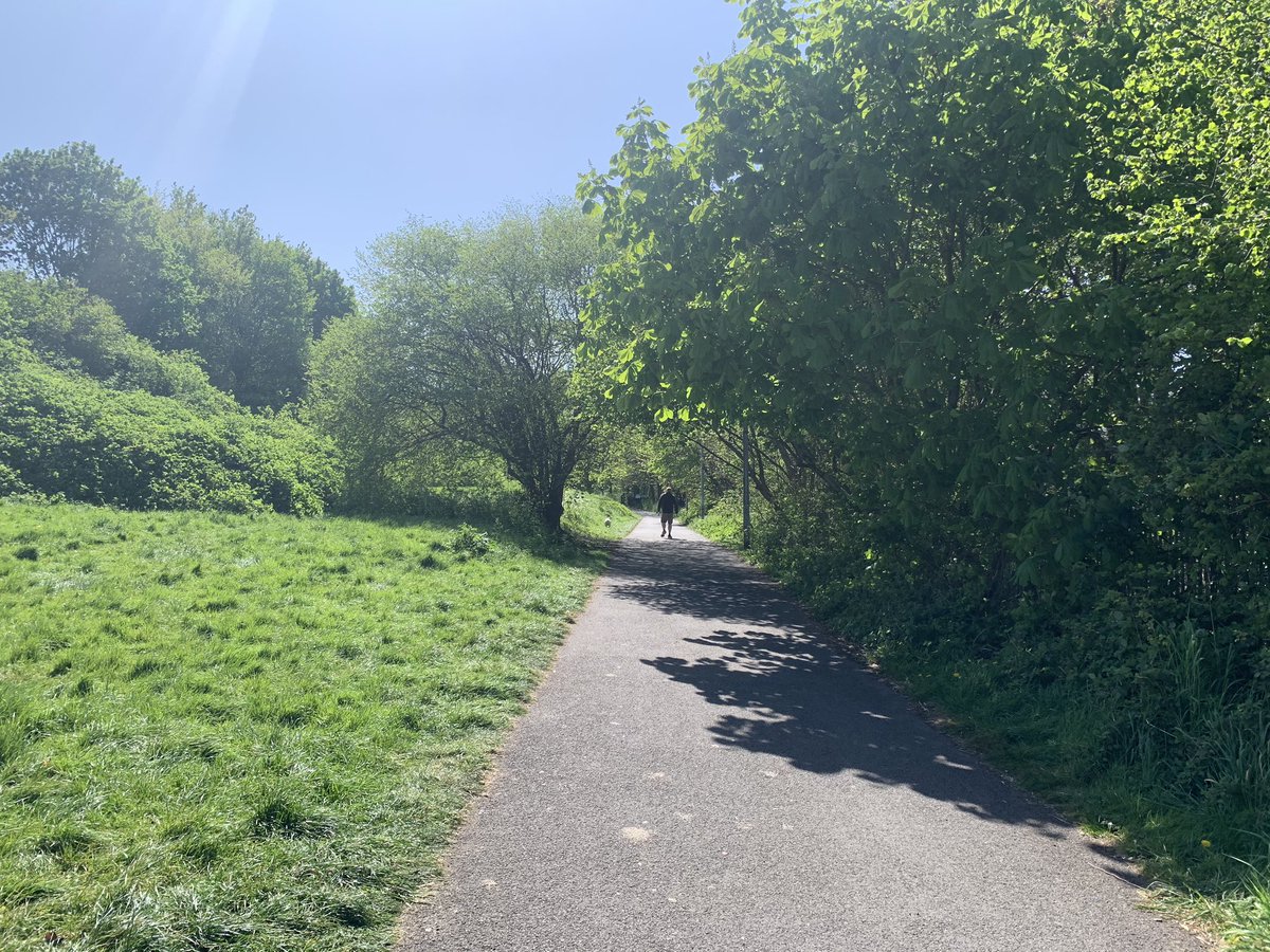 A 15-minute walk in an urban park (compared with a street with traffic) reduces anxiety by 14 to 19%, and a 15-minute walk in a forest reduces anxiety by 23 to 31%. 3/10