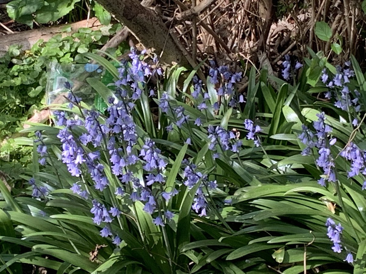 Observing nature promotes mindfulness, which helps young people to deal with stress. 7/10
