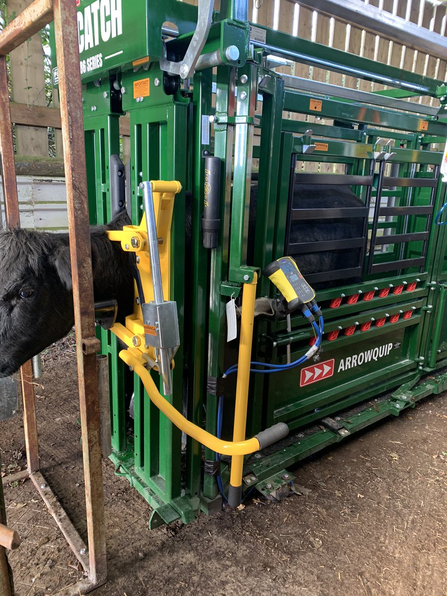 doitinwellies's tweet photo. First go today with our new @Arrowquip Q86 #cattle crush supplied by P&amp;D Engineering of Tewkesbury. Worked really well, cattle remained quiet and flowed through with no dramas or mishaps. #RightKitForTheJob #farming #teambeef #redtractor  #farm24 https://t.co/BYlAMgMOUq