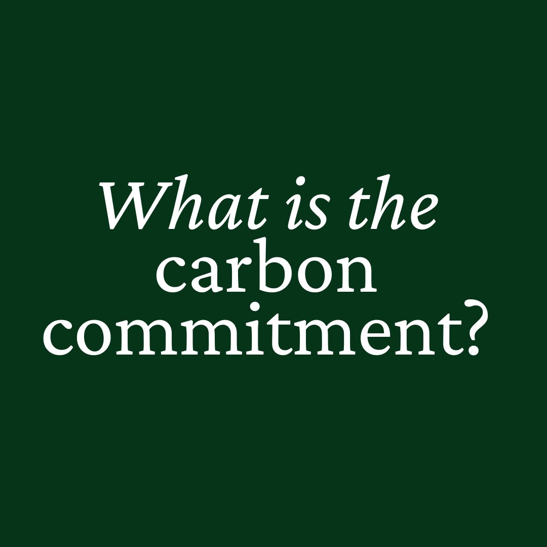 UNCA Student Environmental Center tweet media