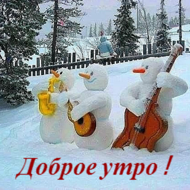 kartonij tweet picture