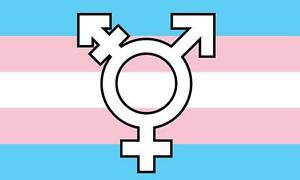 Roblox_RTC's tweet image. Happy Trans awareness week! #TransAwarenessWeek2020 
No matter who you are. You&apos;re always valid to us.