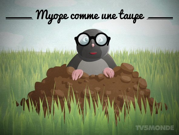 TV5MONDEAsia's tweet photo. [#expressionsanimaux] Une hirondelle ne fait pas le printemps : On ne peut pas faire une généralité ! https://t.co/aIyEvUZVy8