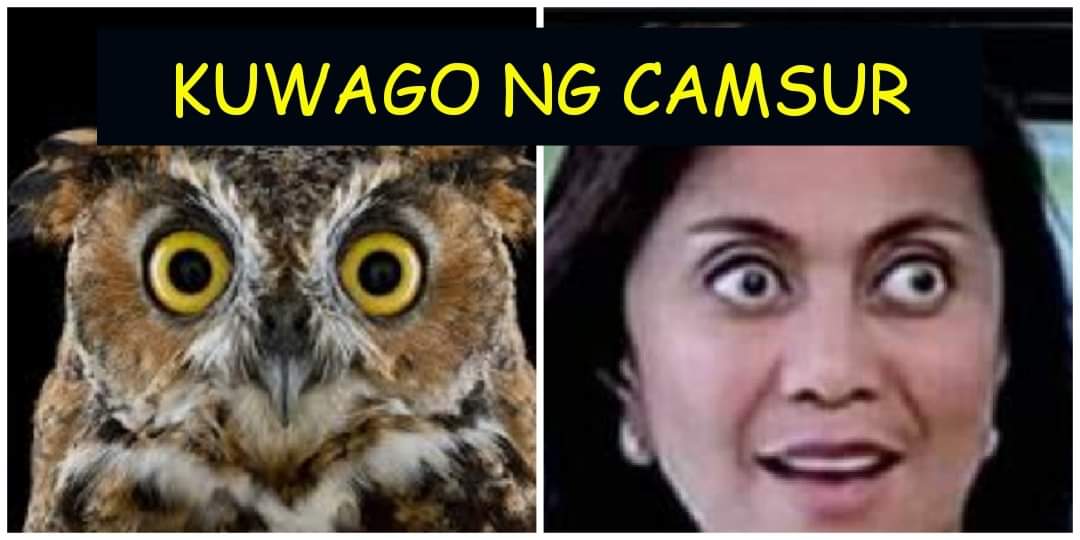 free082287's tweet photo. @raffymagno @valvestil @lenirobredo Edi wow gising pa Aling Leni kwago yun https://t.co/ZEIa4P7Yem