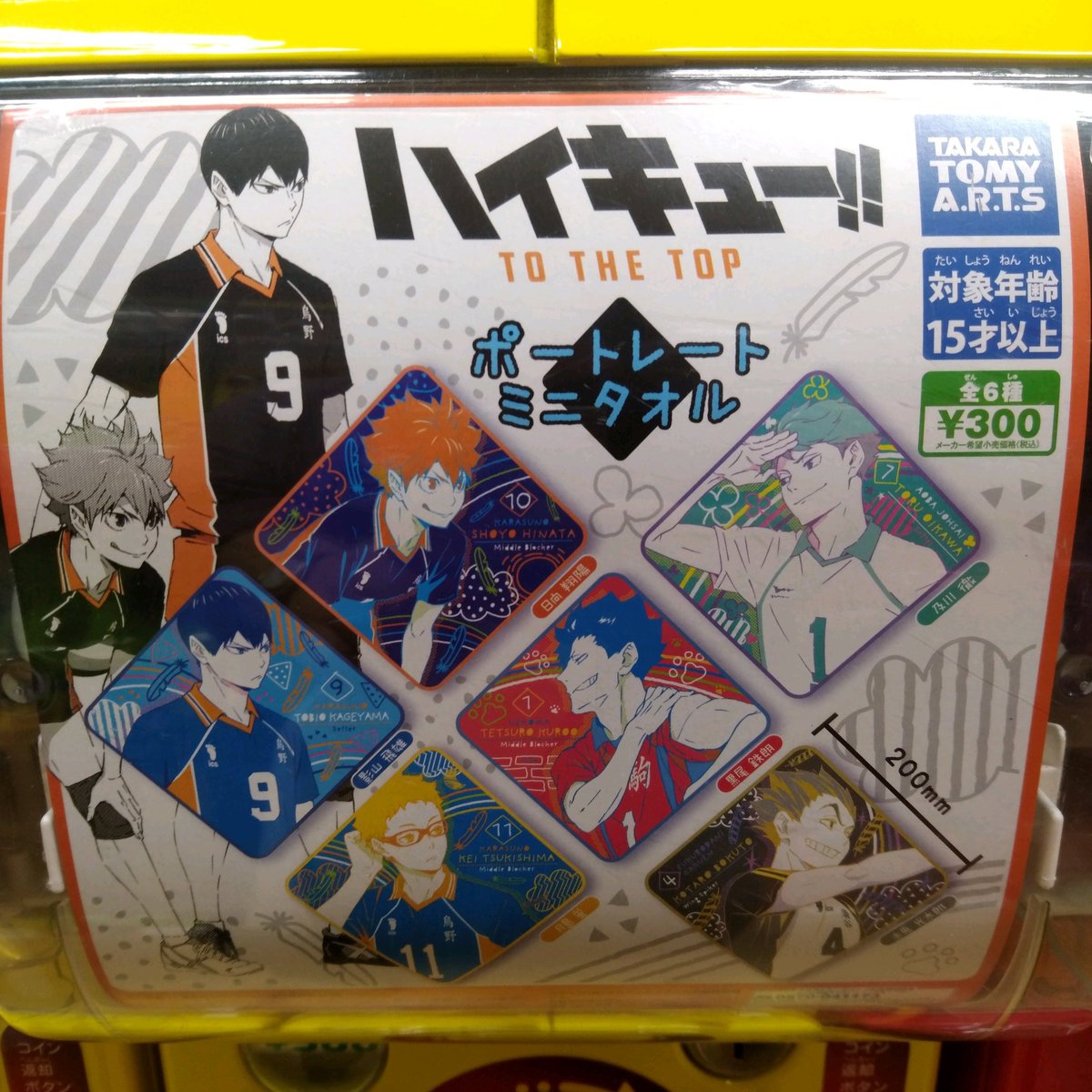 ✨?11/17新商品入荷?✨ タカラトミーアーツ ハイキュー!! TO THE TOP 