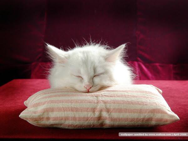 Artibuff tweet media