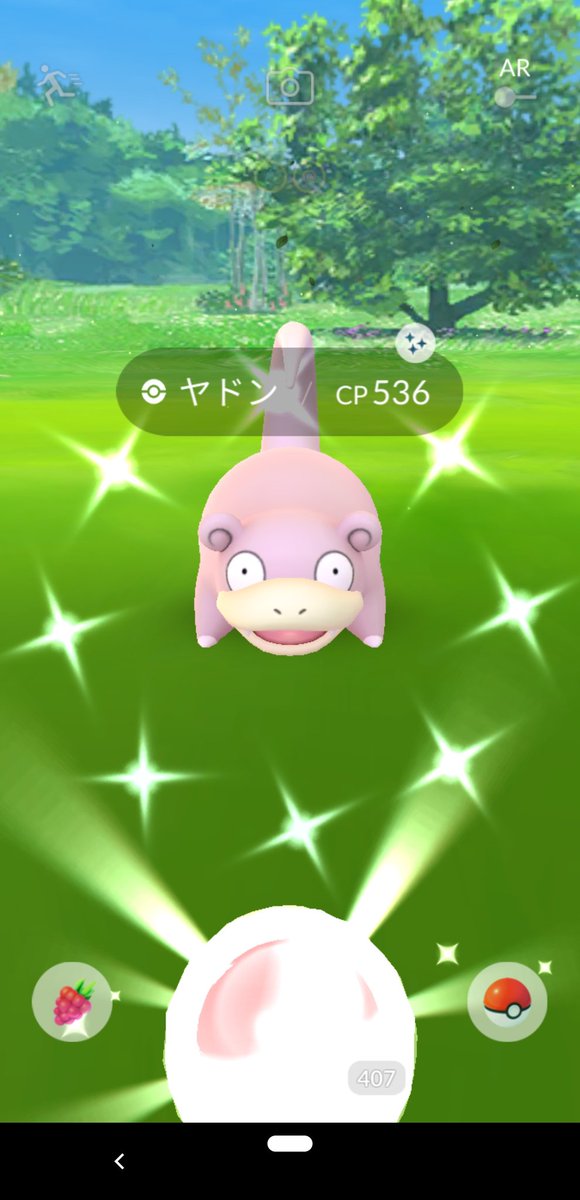 色違いヤドン 色違いヤドン