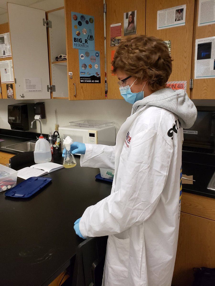 rmhsbiotech's tweet photo. The advanced biotech class was challenged to synthesize and purify plasmid to generate the needed component of a cornerstone lab- pGlo. Not an easy feat but they didn't even flinch. https://t.co/ICKLCwmRhn