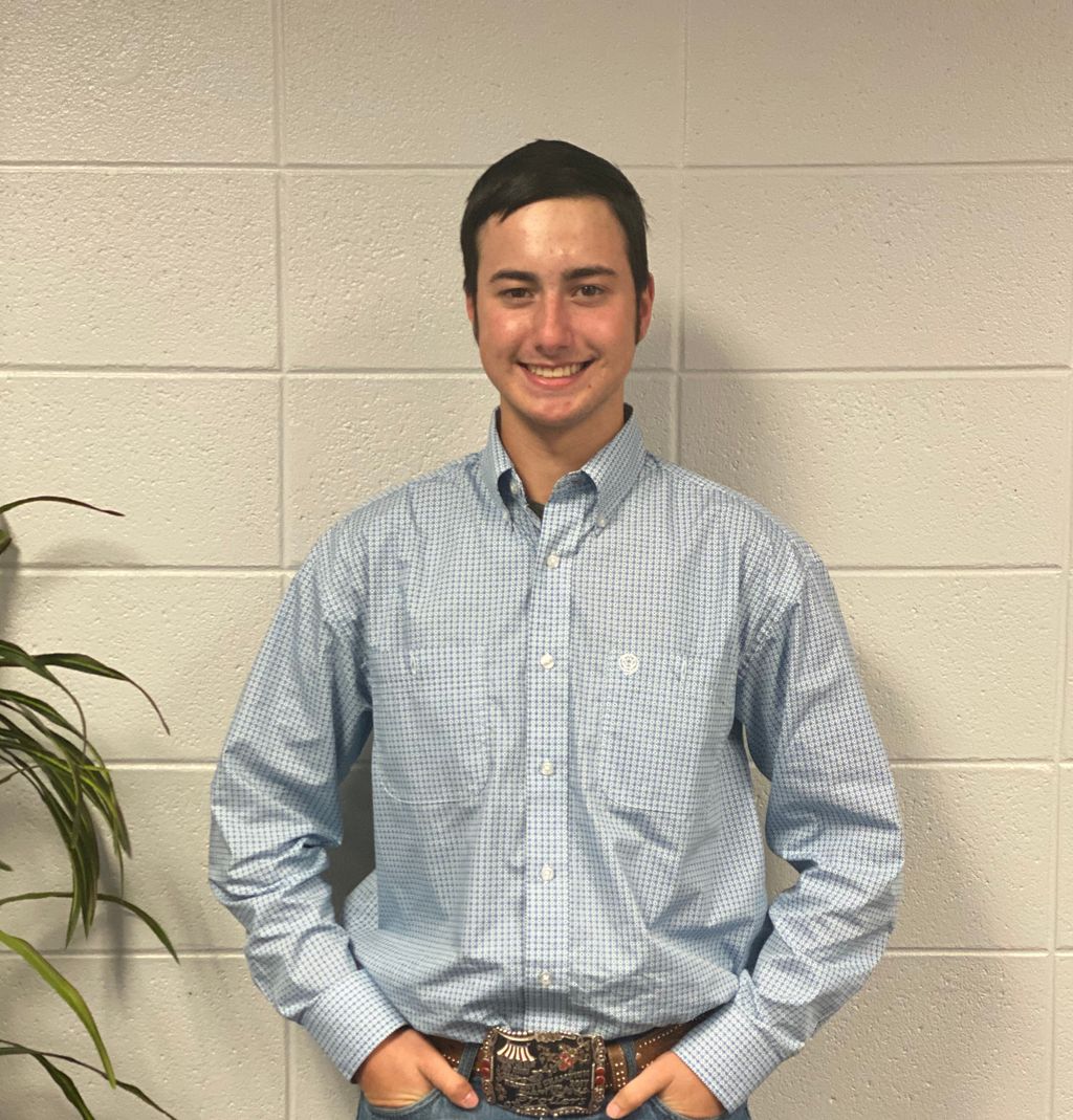 Klein Collins FFA tweet media