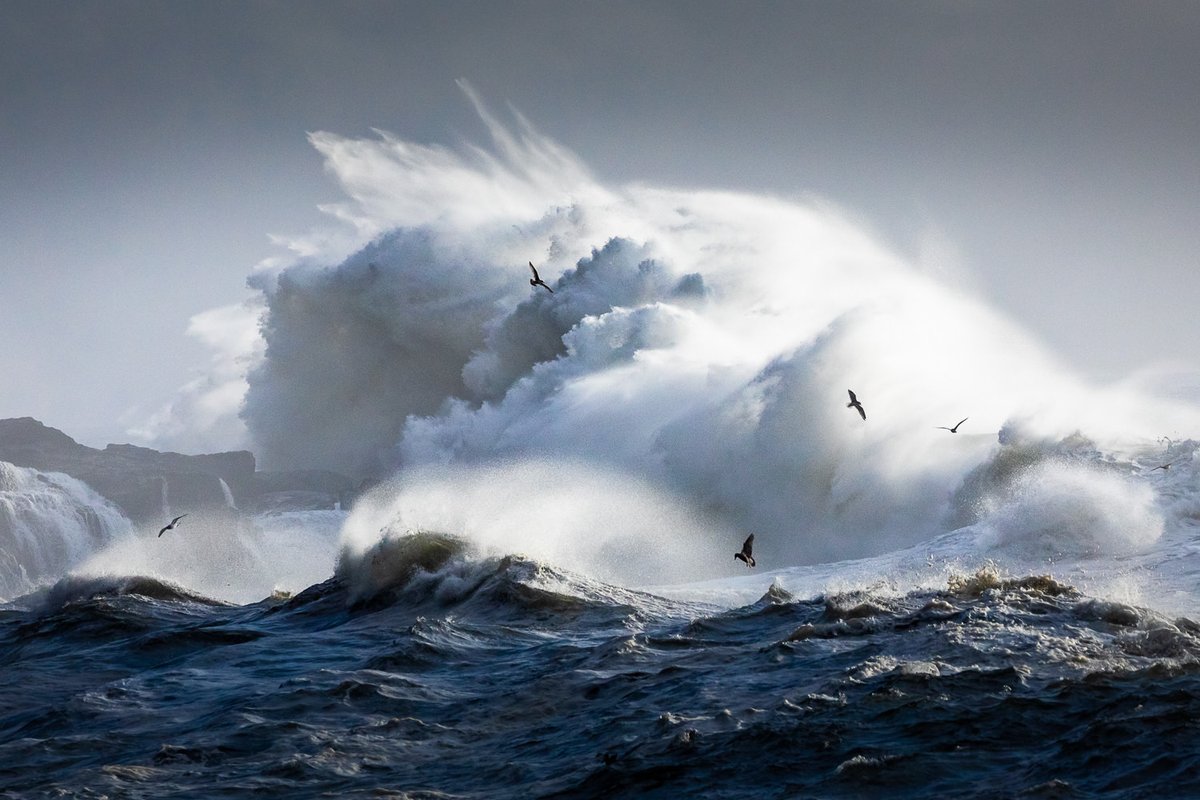 TJWattPhoto's tweet photo. The forces of nature aligned yesterday, unleashing a mind-blowing display of raw power and beauty along the west coast of Vancouver Island. A 6.5m / 20ft swell plus a king tide created enormous and explosive waves 🌊 See full photo gallery here: https://t.co/4uIii2a8CR #BCStorm https://t.co/nUyxWY6hkw