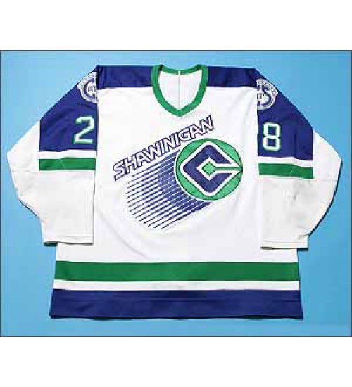 Cataractes de Shawinigan