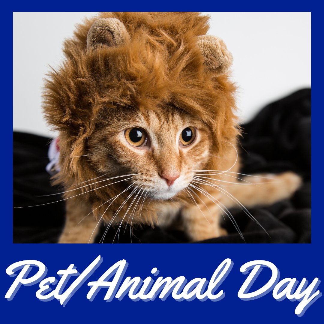 LMSprincipals's tweet photo. What are we up to at LMS meow? More Spirit Week shenanigans, of course! Tuesday, twin with your pet or favorite animal. Cats, dogs, birds, reptiles, pet rocks- we love 'em all!
.
.
.
#LMSproud #woof #meow #moo? #pullmanschools #pullmanwa #pullmanschooldistrict #psd267 https://t.co/Z8d8YxCzNL