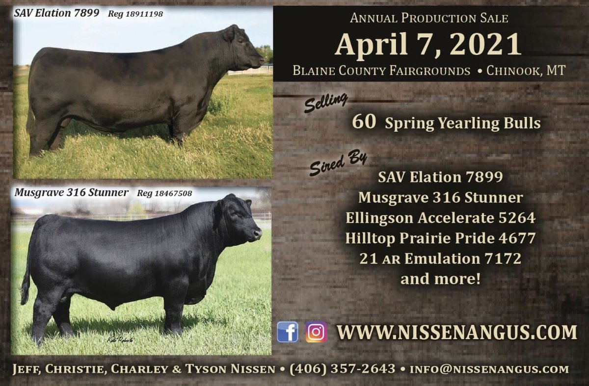 NissenAngus's tweet photo. Don't forget to mark your calendars for Wednesday, April 7th, 2021 and join us for our annual production sale.

Visit our website at https://t.co/HQPNYkHPfs for more information and updates as sale day approaches. https://t.co/IWIq9ynwSU