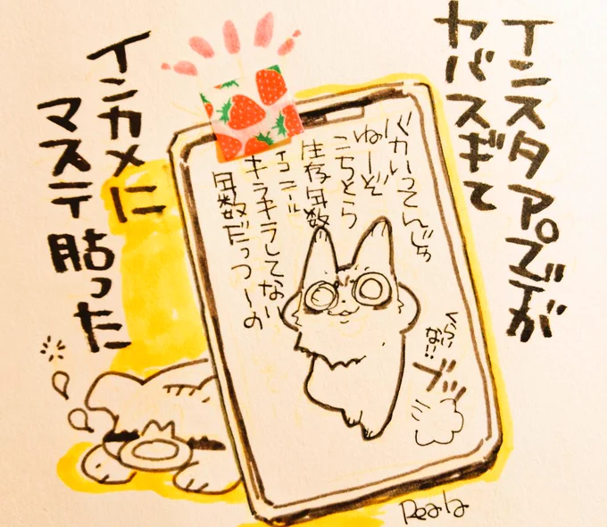 これまで新規ポストするアイコンの位置にインカメが来とって目が覚めたわーい 