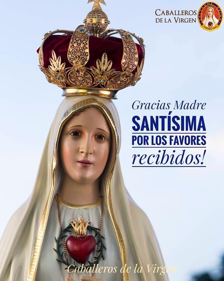 marthabtz's tweet photo. Gracias por unirse al rezo del S.Rosario.
La bendición de Jesús y de Maria Santísima, quede en cada uno y su familia 🙏🏻

San Pío X
“Si quieren que la paz reine en sus familias y en su patria, recen todos los días el Rosario con todos los suyos”. 
Buen descanso ❤️🤗 https://t.co/iHQBxN7qzO