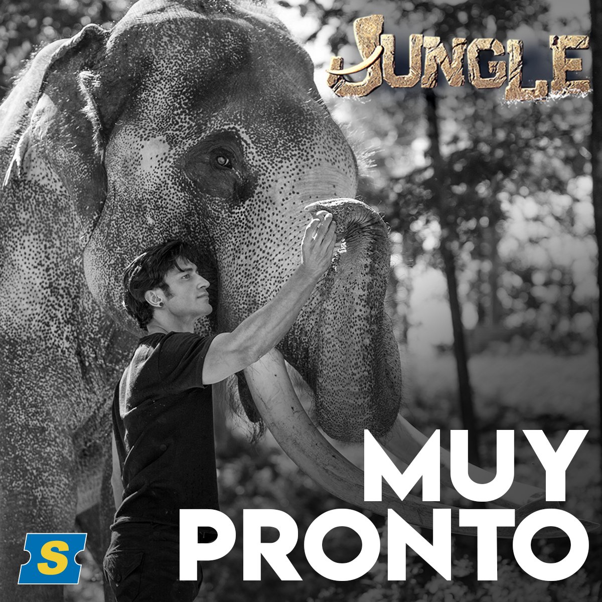 supercines1's tweet photo. La Jungla necesita un héroe, conócelo muy pronto en Supercines. #Junle 🐘🌱 https://t.co/O3YtqOoFte