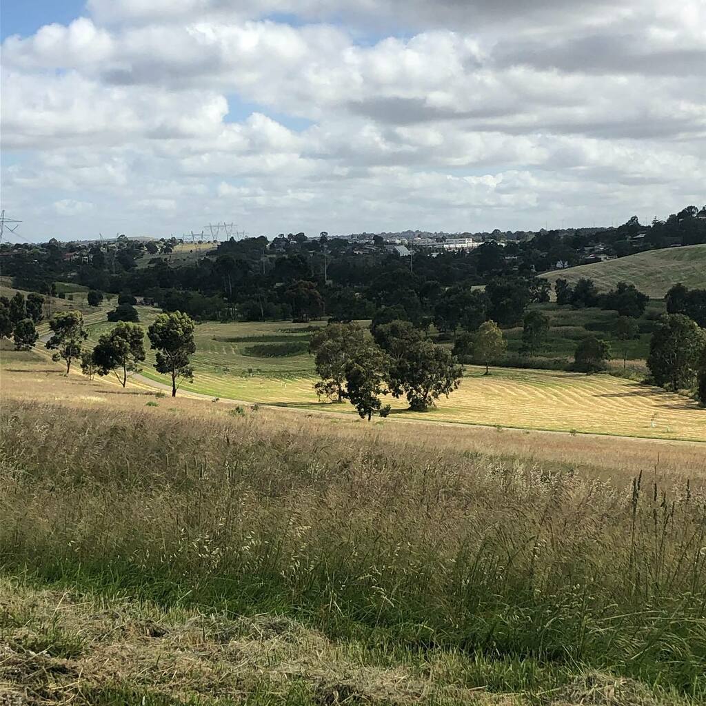 limlouisa's tweet photo. Why would anyone work on their PhD with this outside? #sob #phdpain https://t.co/vD0iGkPOr8 https://t.co/SYkCTcUcv9