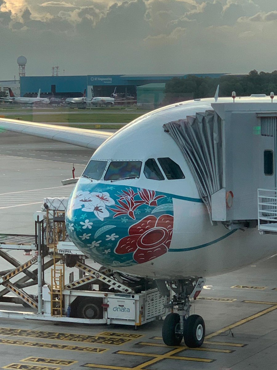 On November 14, 2020. Garuda Indonesia, with #MaskOn livery Airbus A330-300 flew to Changi International Airport (SIN). Besides, this special livery has been flying to domestic and other international routes. Please take a picture and mention us while you see it! #GALiveReport