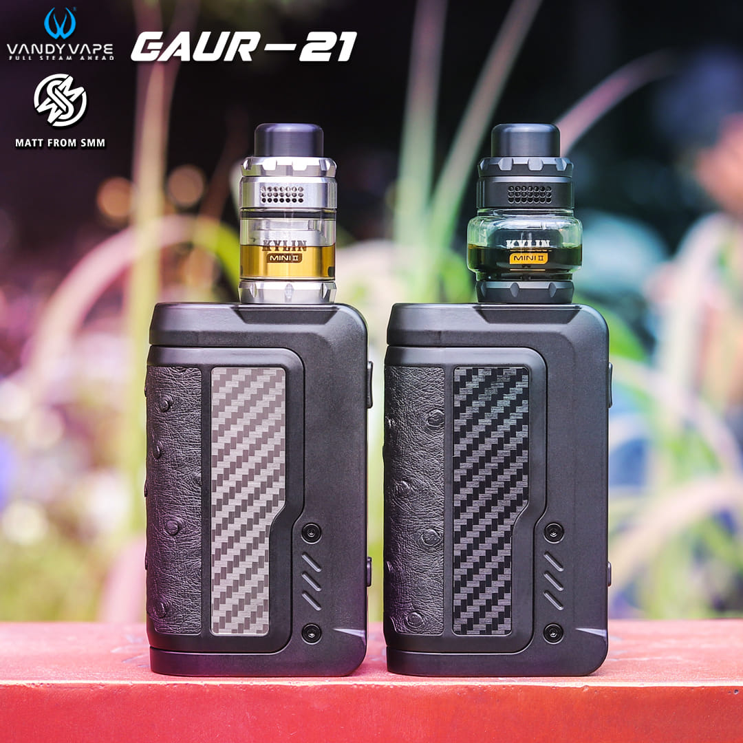 vandy vape gaur-21 Vandy Vape Gaur-21 Review main image 0
